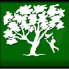 basics_favicon